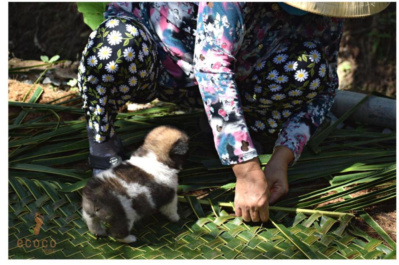 Ecoco Homestay Mekong Ben Tre ภายนอก รูปภาพ