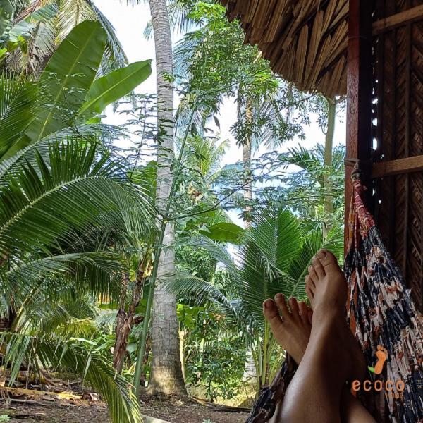 Ecoco Homestay Mekong Ben Tre ภายนอก รูปภาพ