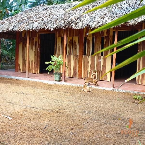Ecoco Homestay Mekong Ben Tre ภายนอก รูปภาพ